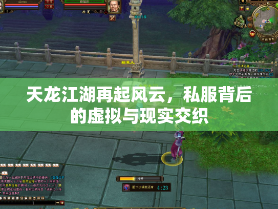 天龙江湖再起风云，私服背后的虚拟与现实交织