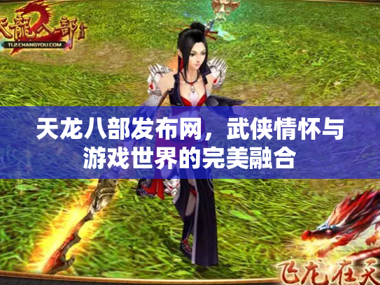 天龙八部发布网，武侠情怀与游戏世界的完美融合