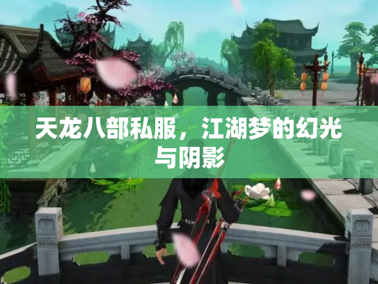 天龙八部私服，江湖梦的幻光与阴影