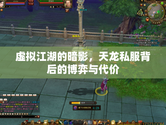 虚拟江湖的暗影，天龙私服背后的博弈与代价