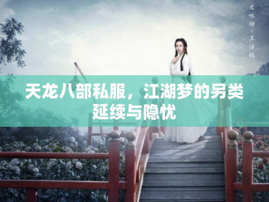 天龙八部私服，江湖梦的另类延续与隐忧