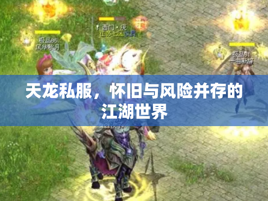天龙私服，怀旧与风险并存的江湖世界