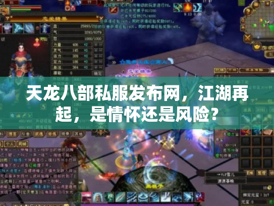 天龙八部私服发布网，江湖再起，是情怀还是风险？