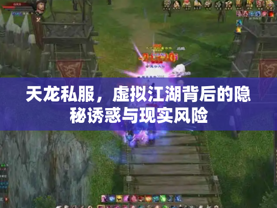 天龙私服，虚拟江湖背后的隐秘诱惑与现实风险