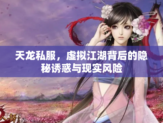 天龙私服，虚拟江湖背后的隐秘诱惑与现实风险