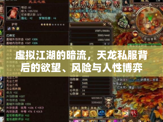 虚拟江湖的暗流，天龙私服背后的欲望、风险与人性博弈