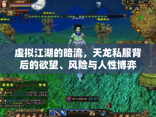虚拟江湖的暗流，天龙私服背后的欲望、风险与人性博弈