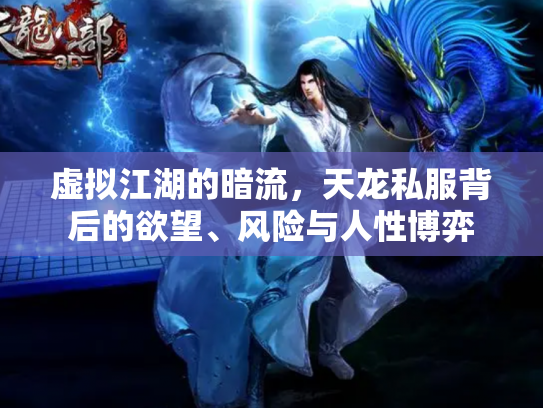虚拟江湖的暗流，天龙私服背后的欲望、风险与人性博弈