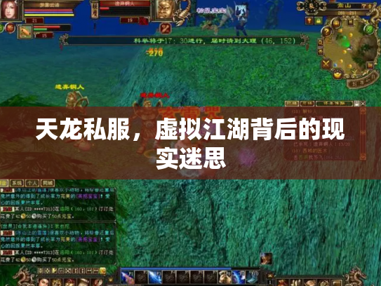 天龙私服，虚拟江湖背后的现实迷思