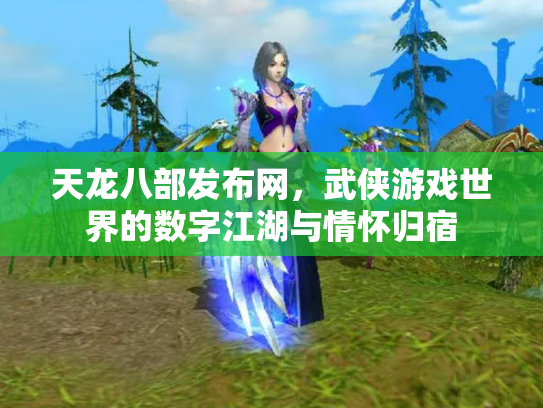 天龙八部发布网，武侠游戏世界的数字江湖与情怀归宿