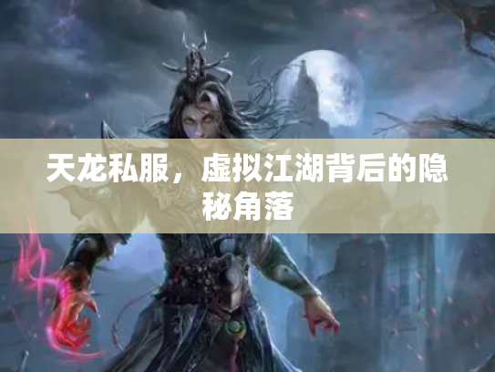 天龙私服，虚拟江湖背后的隐秘角落