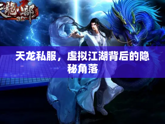 天龙私服，虚拟江湖背后的隐秘角落