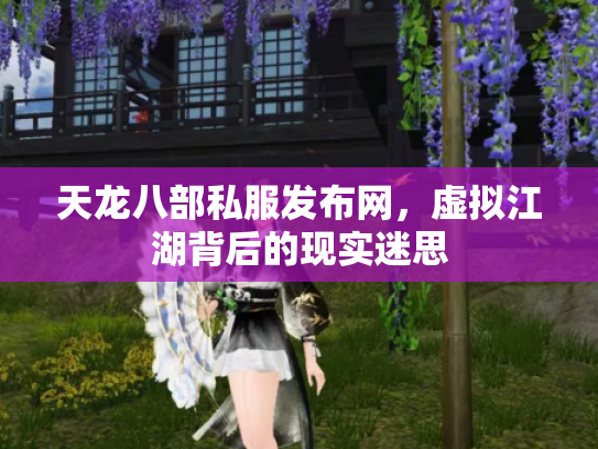 天龙八部私服发布网，虚拟江湖背后的现实迷思