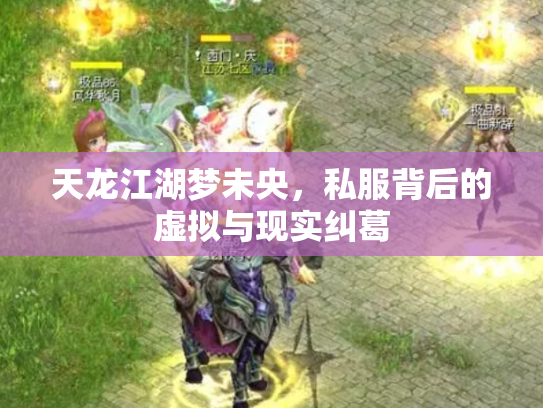天龙江湖梦未央，私服背后的虚拟与现实纠葛