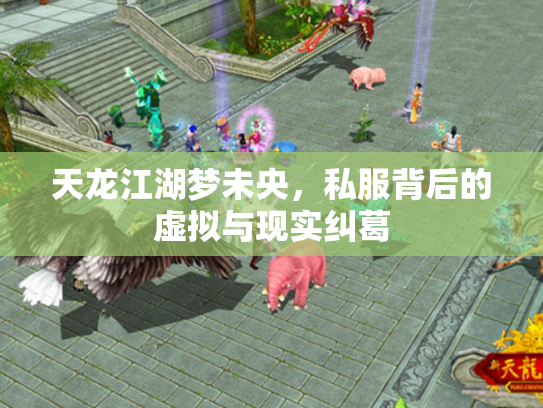 天龙江湖梦未央，私服背后的虚拟与现实纠葛