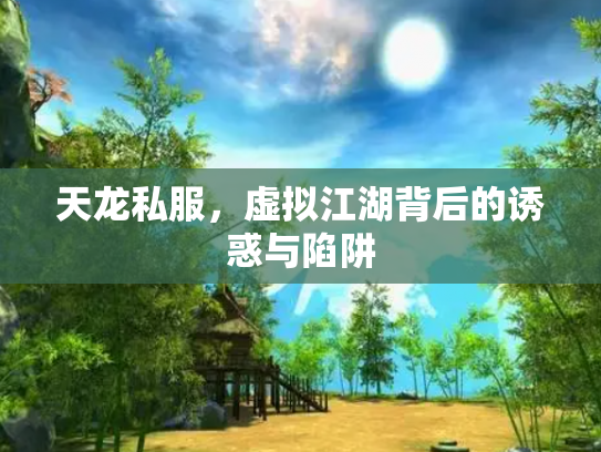 天龙私服，虚拟江湖背后的诱惑与陷阱