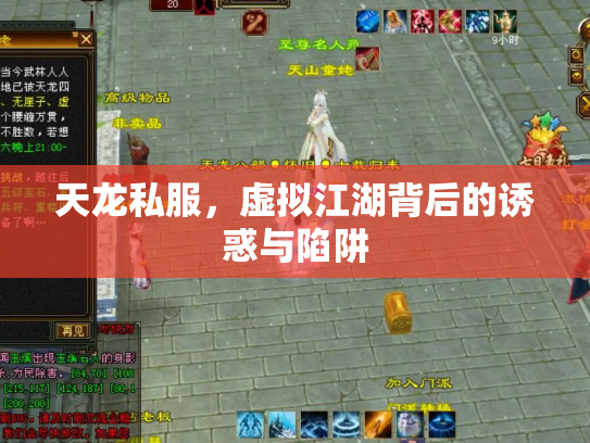 天龙私服，虚拟江湖背后的诱惑与陷阱