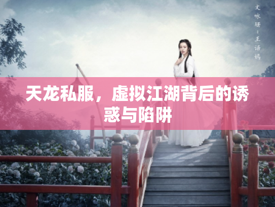 天龙私服，虚拟江湖背后的诱惑与陷阱