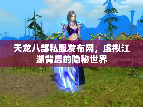 天龙八部私服发布网，虚拟江湖背后的隐秘世界
