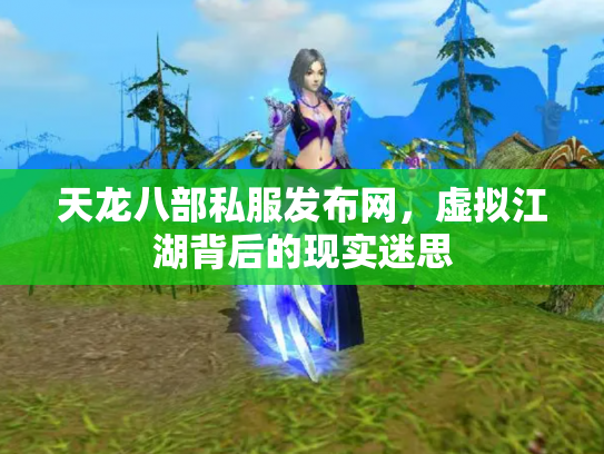 天龙八部私服发布网，虚拟江湖背后的现实迷思