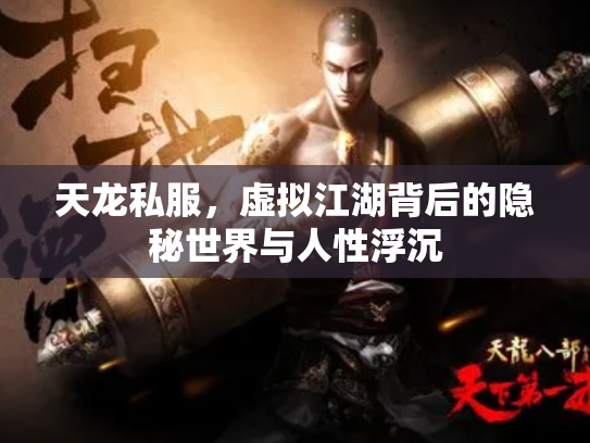 天龙私服，虚拟江湖背后的隐秘世界与人性浮沉