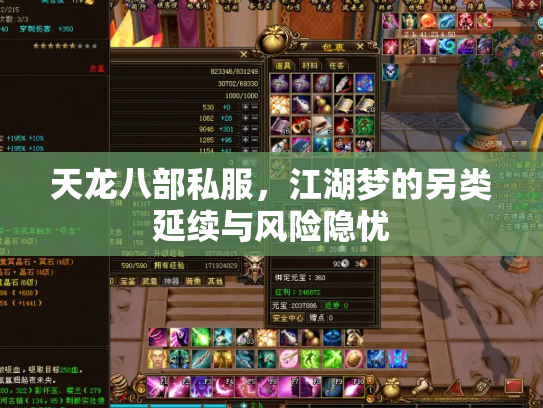 天龙八部私服，江湖梦的另类延续与风险隐忧