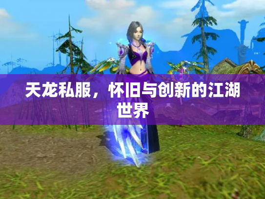 天龙私服，怀旧与创新的江湖世界