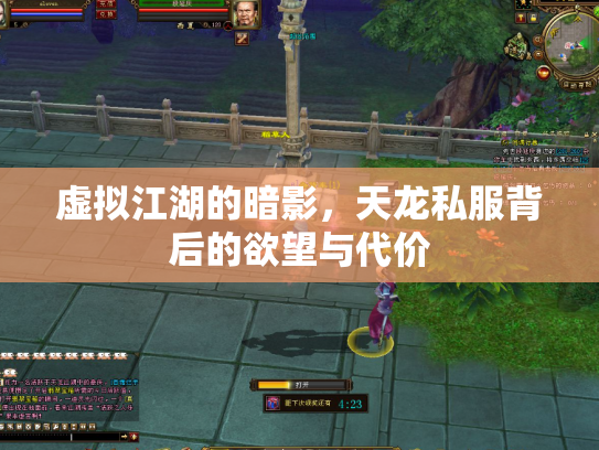 虚拟江湖的暗影，天龙私服背后的欲望与代价
