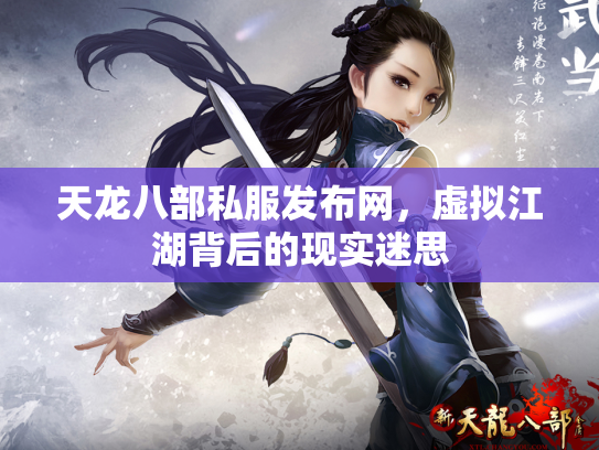 天龙八部私服发布网，虚拟江湖背后的现实迷思