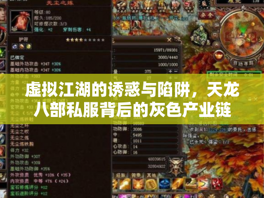 虚拟江湖的诱惑与陷阱,天龙八部私服背后的灰色产业链 虚拟江湖的诱惑与陷阱,天龙八部私服背后的灰色产业链