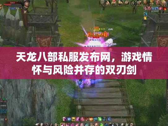天龙八部私服发布网，游戏情怀与风险并存的双刃剑