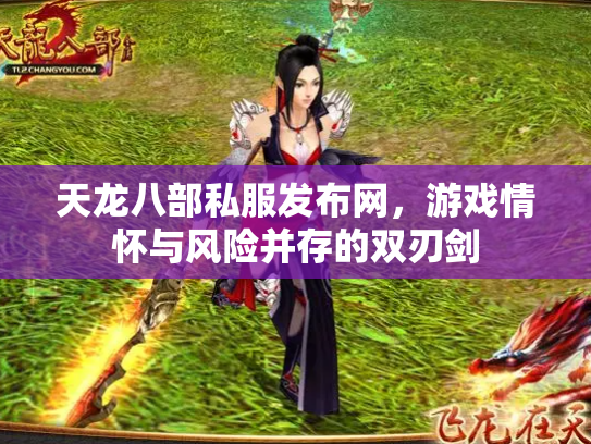 天龙八部私服发布网，游戏情怀与风险并存的双刃剑