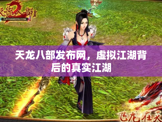 天龙八部发布网，虚拟江湖背后的真实江湖