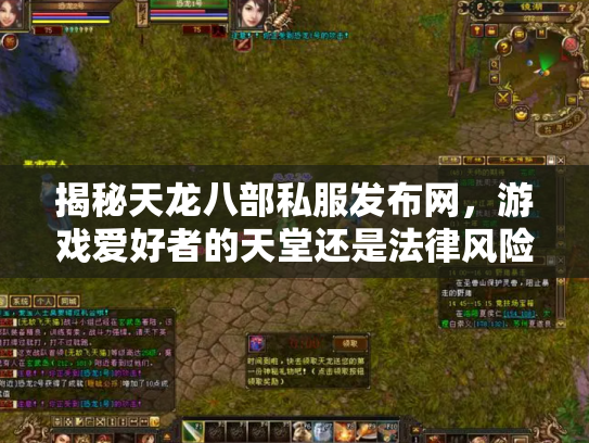 揭秘天龙八部私服发布网，游戏爱好者的天堂还是法律风险区？
