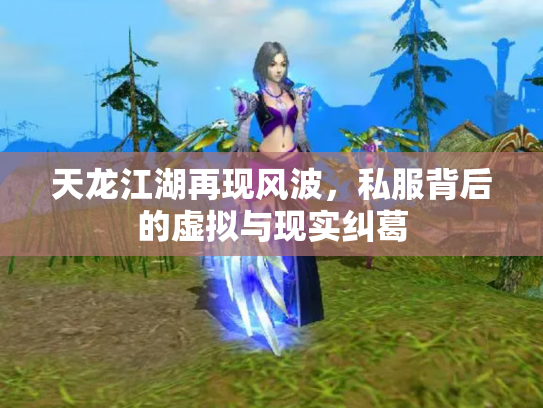 天龙江湖再现风波，私服背后的虚拟与现实纠葛