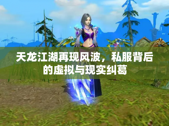 天龙江湖再现风波，私服背后的虚拟与现实纠葛