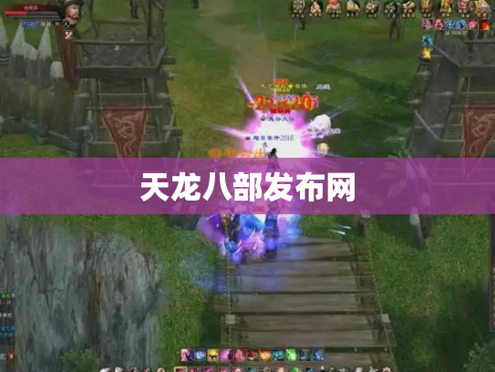 天龙八部发布网