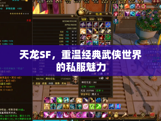 天龙SF，重温经典武侠世界的私服魅力