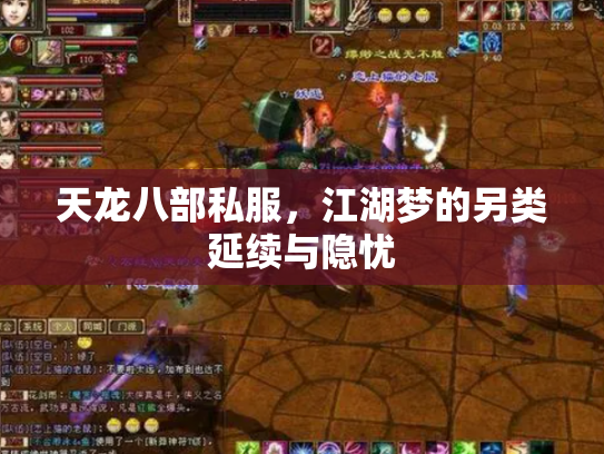 天龙八部私服，江湖梦的另类延续与隐忧