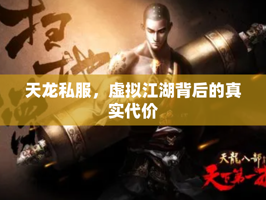天龙私服，虚拟江湖背后的真实代价