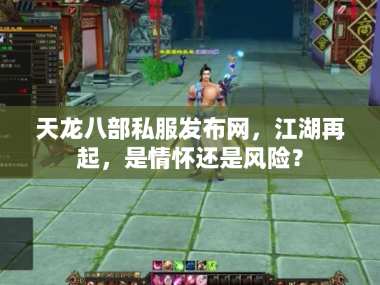 天龙八部私服发布网，江湖再起，是情怀还是风险？