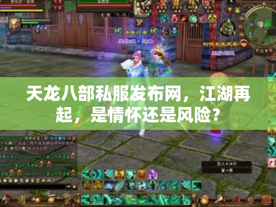 天龙八部私服发布网，江湖再起，是情怀还是风险？