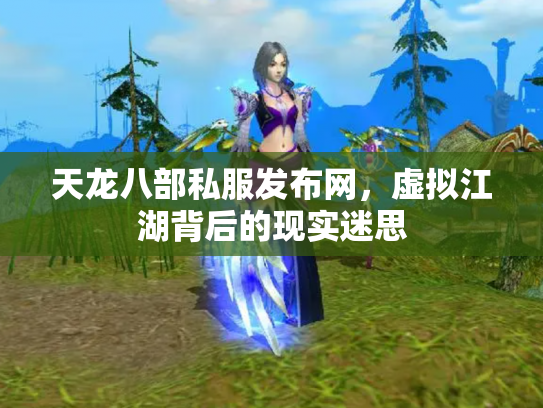 天龙八部私服发布网，虚拟江湖背后的现实迷思