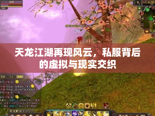 天龙江湖再现风云，私服背后的虚拟与现实交织