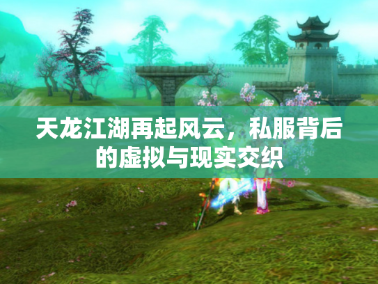 天龙江湖再起风云，私服背后的虚拟与现实交织