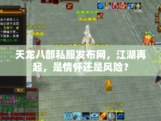 天龙八部私服发布网，江湖再起，是情怀还是风险？
