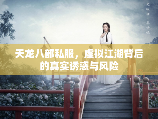 天龙八部私服，虚拟江湖背后的真实诱惑与风险