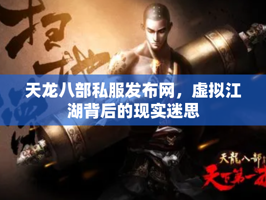 天龙八部私服发布网，虚拟江湖背后的现实迷思