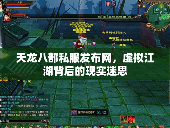 天龙八部私服发布网，虚拟江湖背后的现实迷思