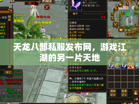 天龙八部私服发布网，游戏江湖的另一片天地
